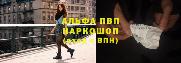 трава Бородино
