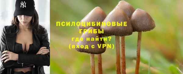 трава Бородино