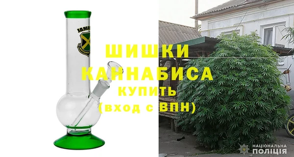 трава Бородино