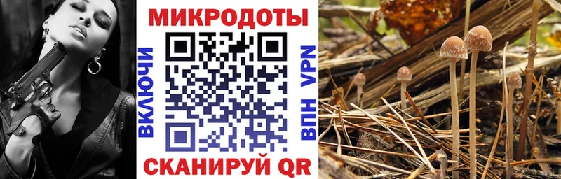 Галлюциногенные грибы MAGIC MUSHROOMS  Купить где  Саранск 